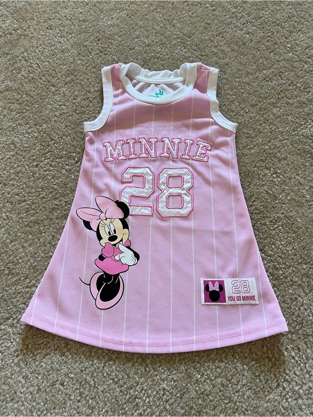Disney Pink Minnie Mouse Sleeveless A-Line Dress